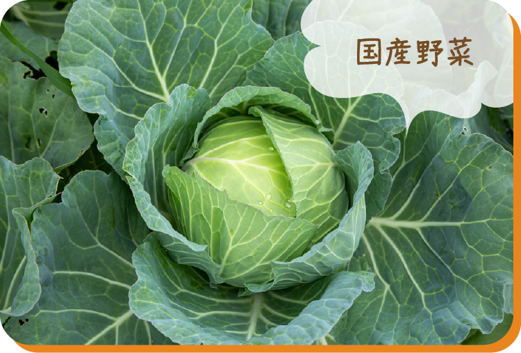 国産野菜